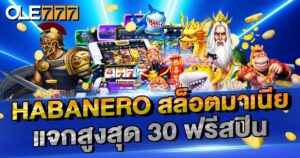 ฟรีสปิน 30